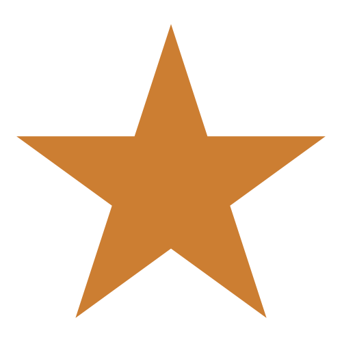 Bronze star